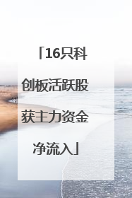 16只科创板活跃股获主力资金净流入