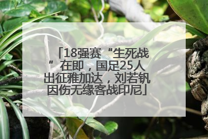 18强赛“生死战”在即，国足25人出征雅加达，刘若钒因伤无缘客战印尼