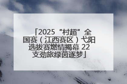 2025“村超”全国赛（江西赛区）弋阳选拔赛燃情揭幕 22支劲旅绿茵逐梦