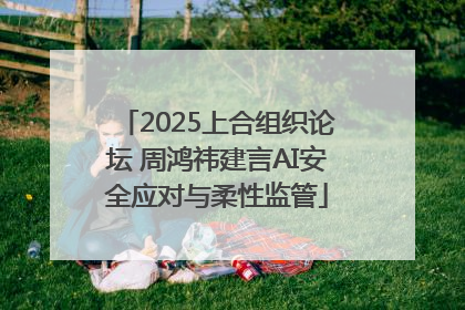 2025上合组织论坛 周鸿祎建言AI安全应对与柔性监管