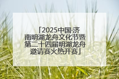 2025中国·济南明湖龙舟文化节暨第二十四届明湖龙舟邀请赛火热开赛