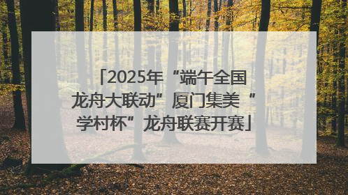 2025年“端午全国龙舟大联动”厦门集美“学村杯”龙舟联赛开赛