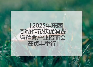 2025年东西部协作帮扶促消费暨糯食产业招商会在贞丰举行