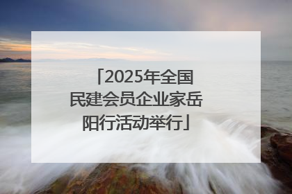 2025年全国民建会员企业家岳阳行活动举行