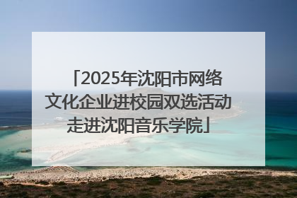 2025年沈阳市网络文化企业进校园双选活动走进沈阳音乐学院