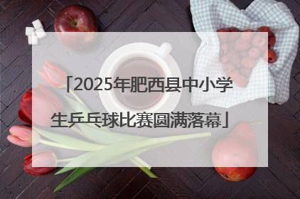 2025年肥西县中小学生乒乓球比赛圆满落幕
