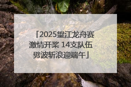 2025望江龙舟赛激情开桨 14支队伍劈波斩浪迎端午