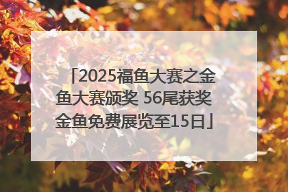 2025福鱼大赛之金鱼大赛颁奖 56尾获奖金鱼免费展览至15日