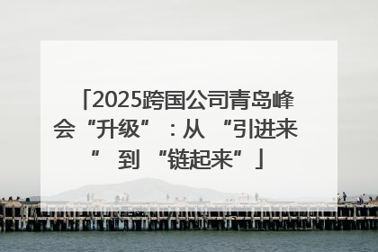 2025跨国公司青岛峰会“升级”：从 “引进来” 到 “链起来”