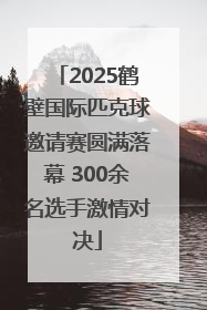 2025鹤壁国际匹克球邀请赛圆满落幕 300余名选手激情对决