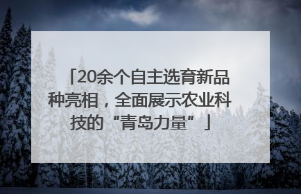 20余个自主选育新品种亮相，全面展示农业科技的“青岛力量”
