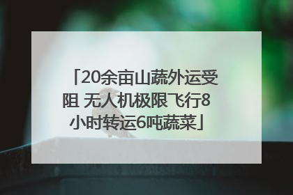 20余亩山蔬外运受阻 无人机极限飞行8小时转运6吨蔬菜