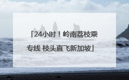 24小时！岭南荔枝乘专线 枝头直飞新加坡