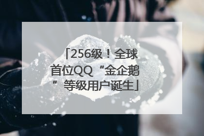 256级！全球首位QQ“金企鹅”等级用户诞生