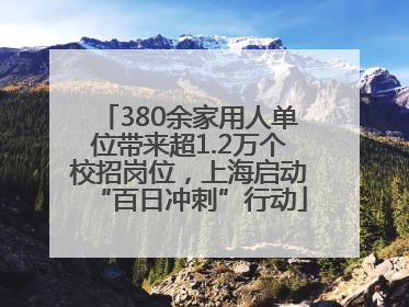 380余家用人单位带来超1.2万个校招岗位，上海启动“百日冲刺”行动