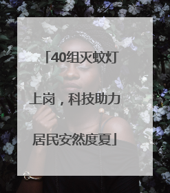 40组灭蚊灯上岗，科技助力居民安然度夏