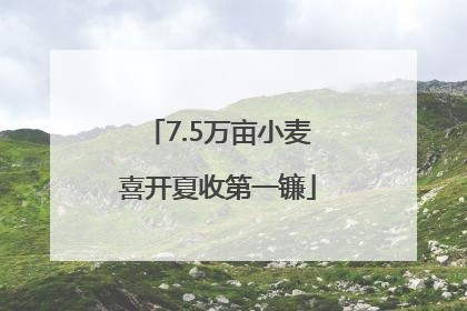 7.5万亩小麦喜开夏收第一镰