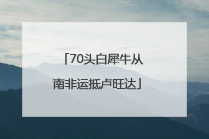 70头白犀牛从南非运抵卢旺达