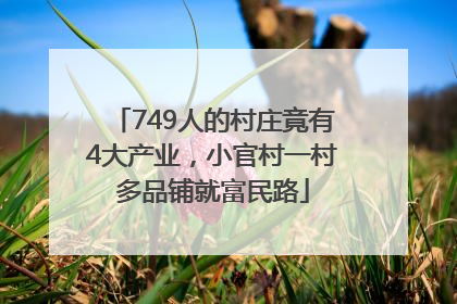 749人的村庄竟有4大产业，小官村一村多品铺就富民路