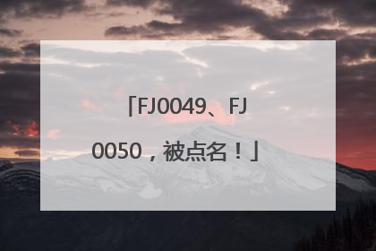FJ0049、FJ0050，被点名！