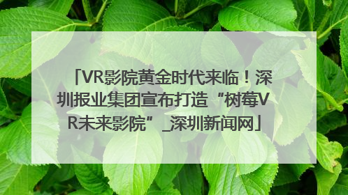 VR影院黄金时代来临！深圳报业集团宣布打造“树莓VR未来影院”_深圳新闻网